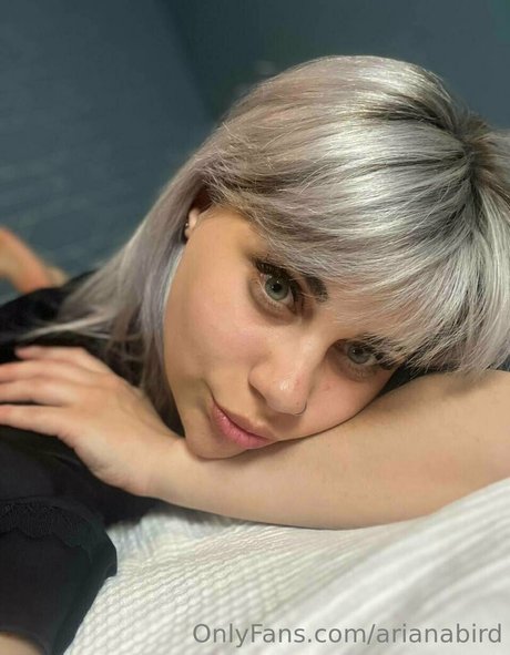 arianabird art model pics