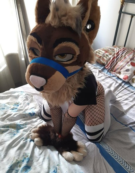 neflynxad star pornographic pictures