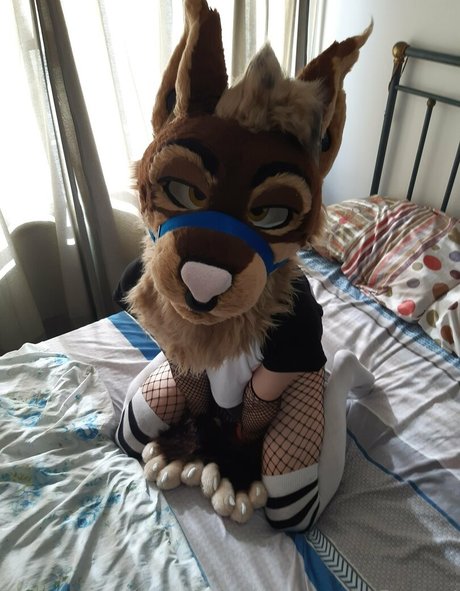 neflynxad star sex pictures