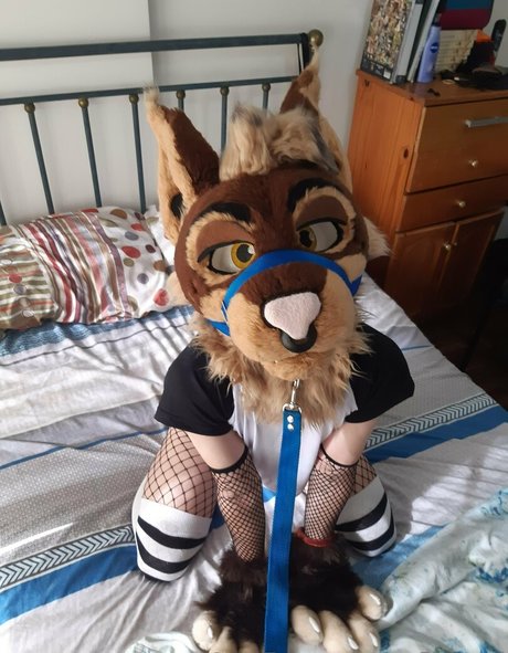 neflynxad model hd picture