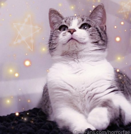 lewdfaerie adult model gallery