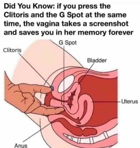 danikajones420free nude pornstar pics