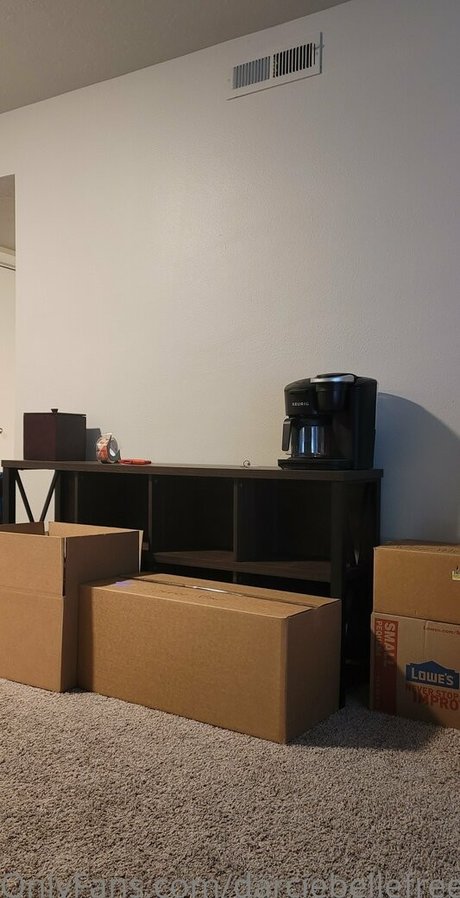 darciebellefree Profile photo