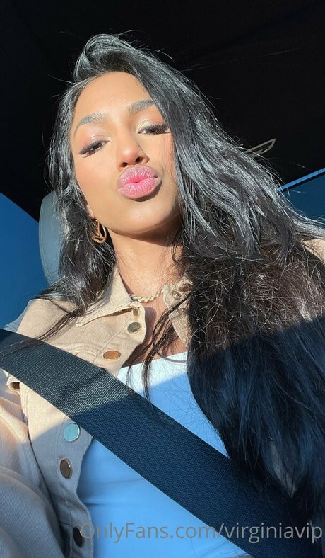 virginasanhousefree star art image