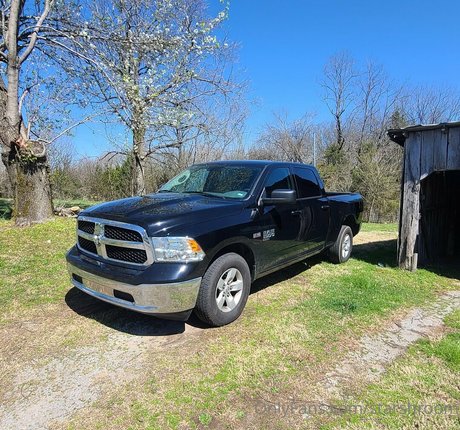 starshroom model beautiful picture