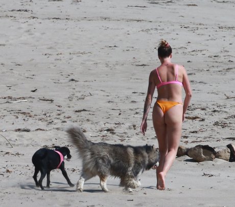 daddy vip onlyfans erotic pic