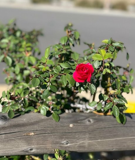 cupofjoewithmoe Quick photo