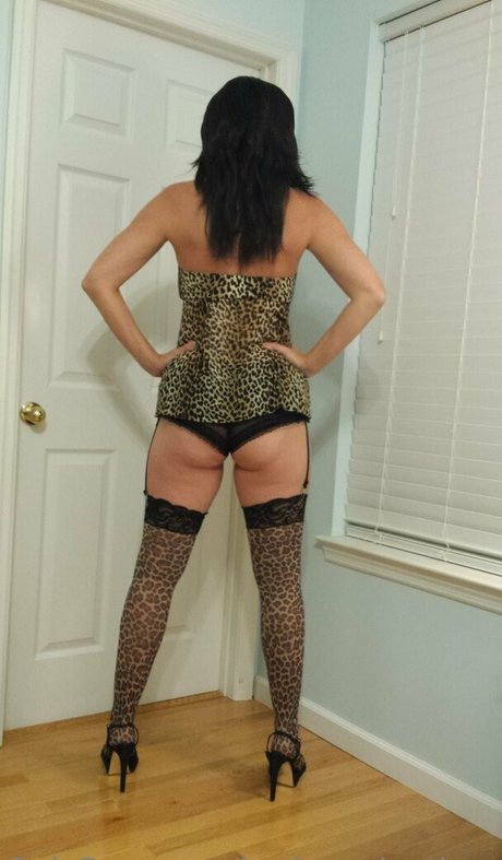 hotlegsplaytime art pornstar galleries