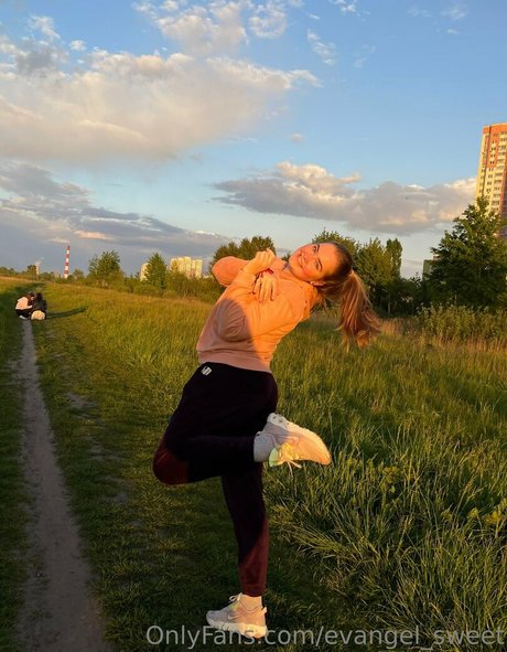 evangel sweet star top archive