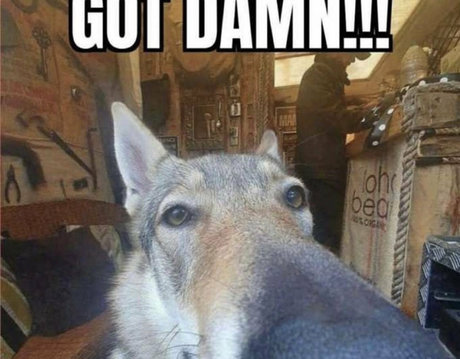 ghettogoth star beautiful pic