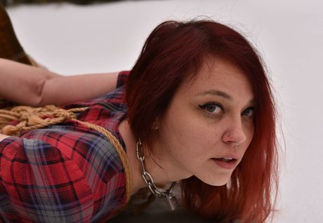 babyfilth top pornstar picture