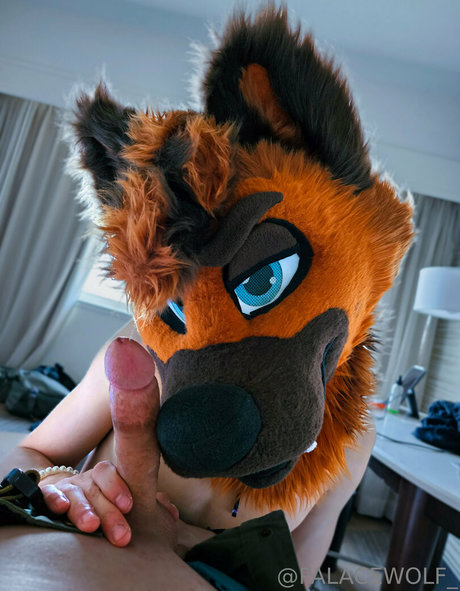 palacewolf sex star photo