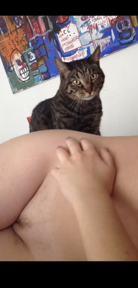 Alison Brie high quality star picture