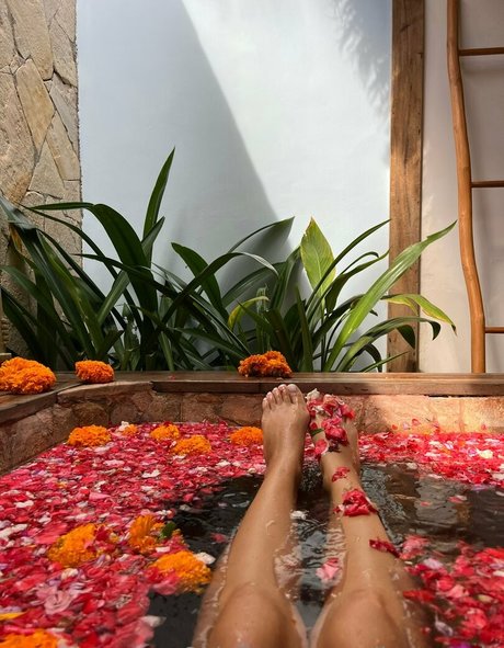 Elina re vip adult star pics