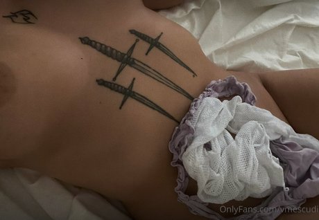 vmescudi star beautiful picture