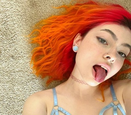 Snottea star adult pics