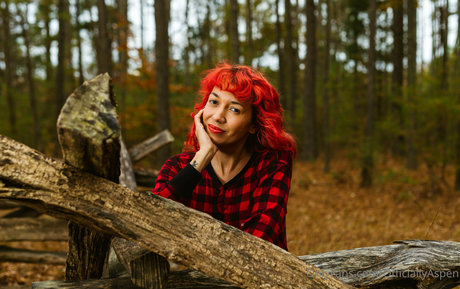 aspensnow free model nice galleries