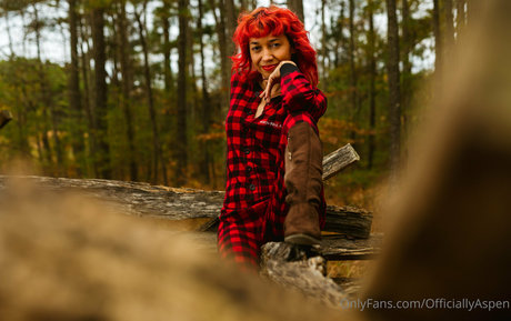 aspensnow free model free img