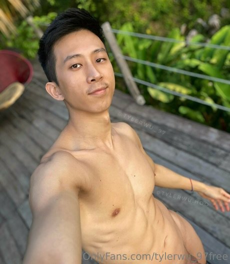 tylerwu 97free best star images