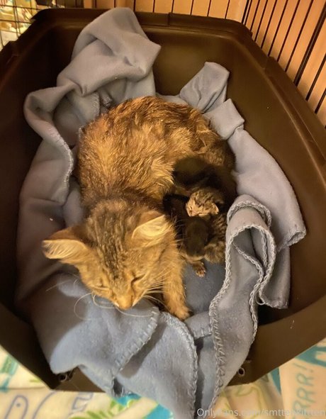 big cock femboy onlyfans hd pic