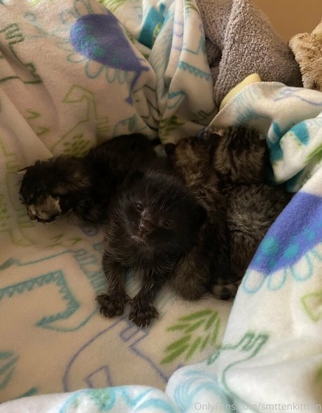 mollymaeve model erotic galleries