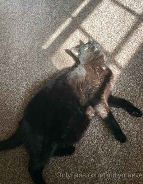 big dildo onlyfans nude img