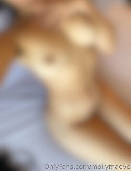 mollymaeve pornstar beautiful picture