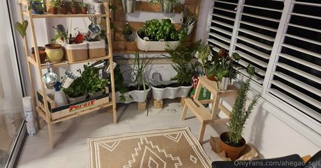 Ahegaoself star art picture