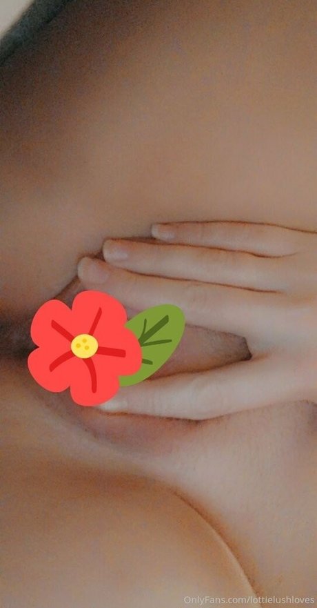 lottielushloves top star archive