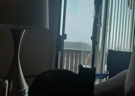 pink kunt star photo