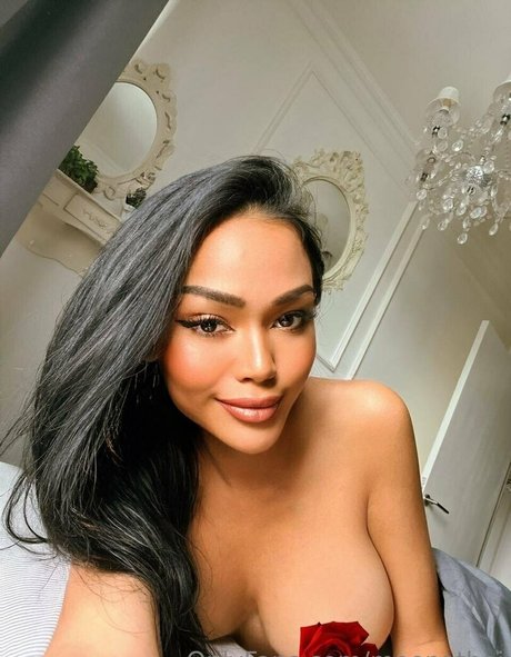 tattooed shemale onlyfans hd archive