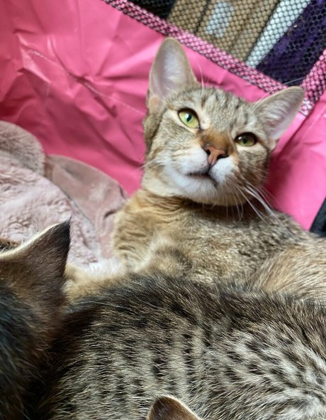 misslolaluxxxfree Profile photo