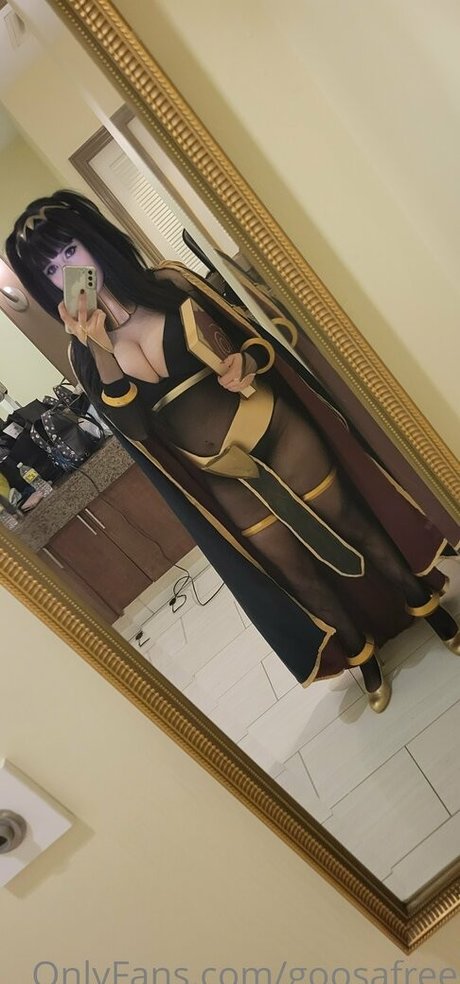 goosafree star art images