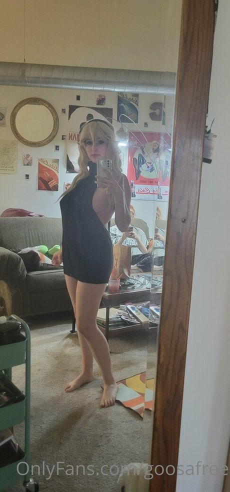 goosafree Profile photo