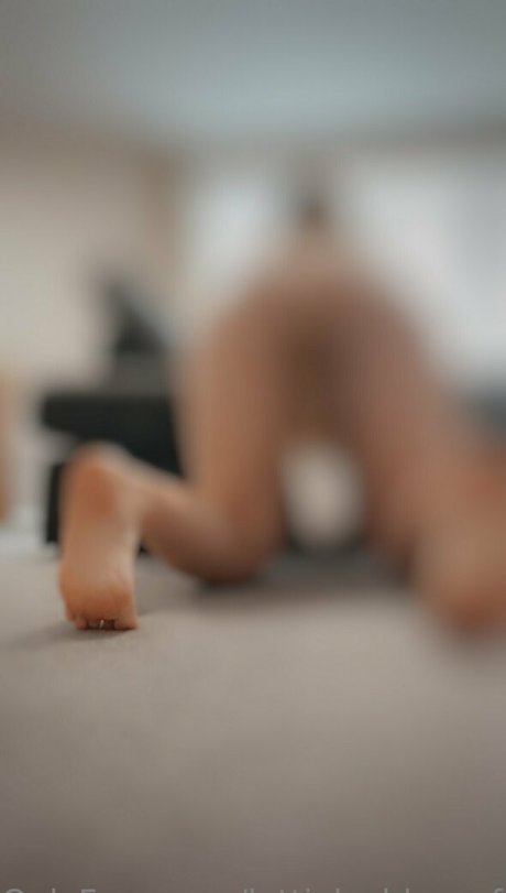 lottielushlovesfree star adult archive