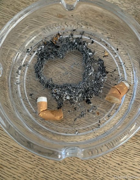 teen ladyboy onlyfans pornos photo