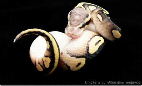 itsmekarminjayde star high quality pics