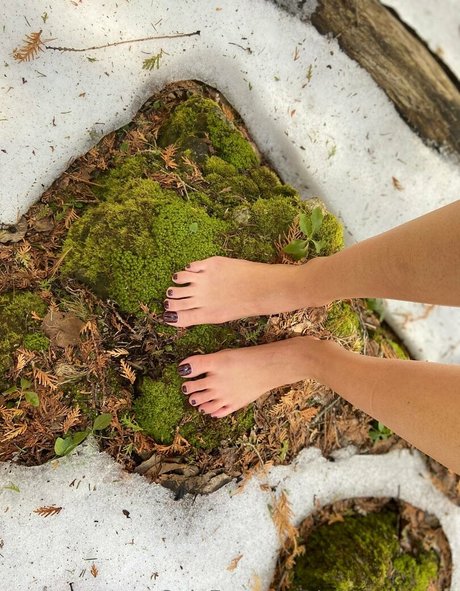 mstoequeen star art images