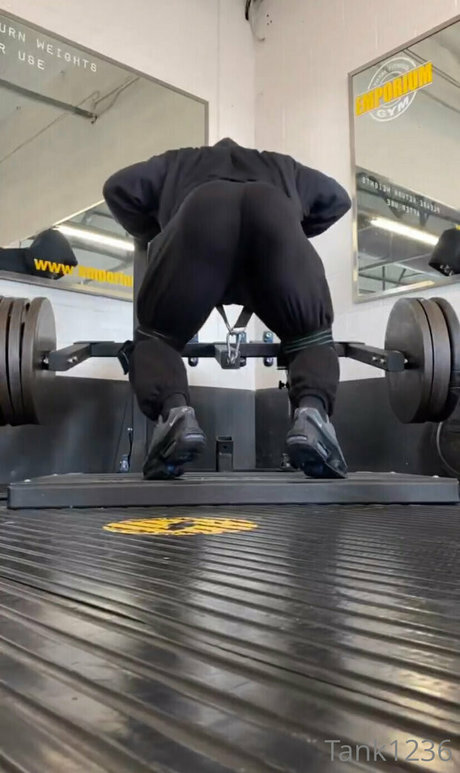 pleasure12368 xxx model image