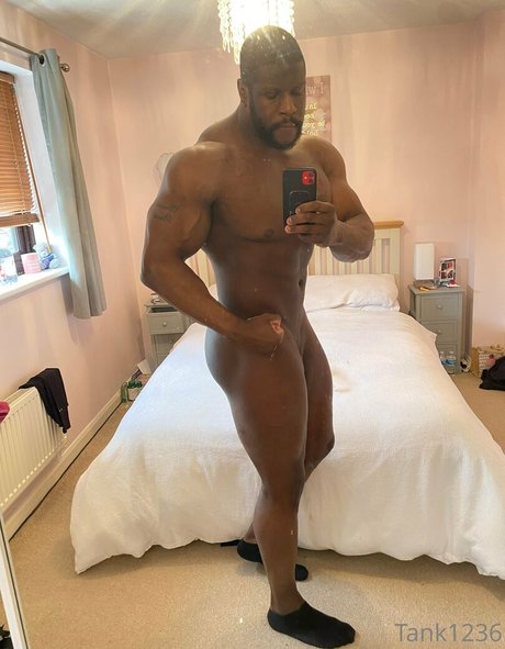 pleasure12368 star art images