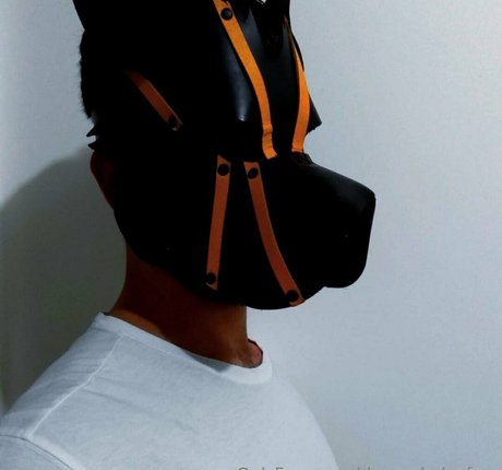 dogao belgafree pornographic star picture