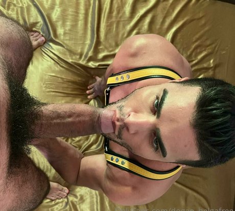 dogao belgafree xxx model pic