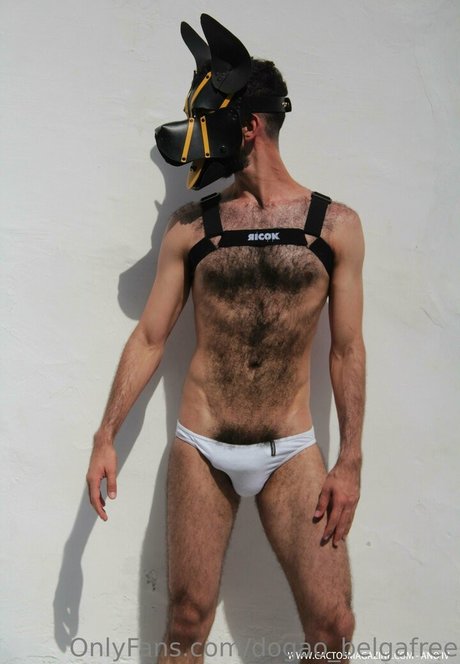 dogao belgafree pornstar hot images