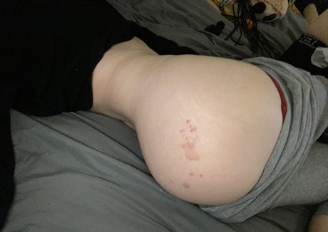 angelahalee adult star photo