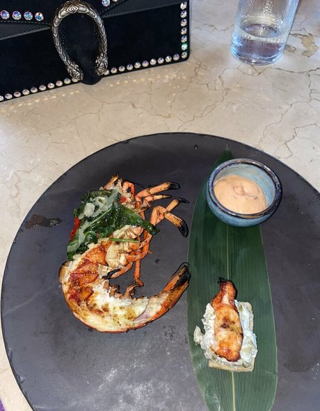 freefrost star adult galleries