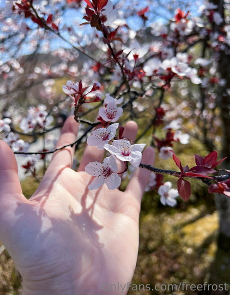 teen lingerie onlyfans erotic photos