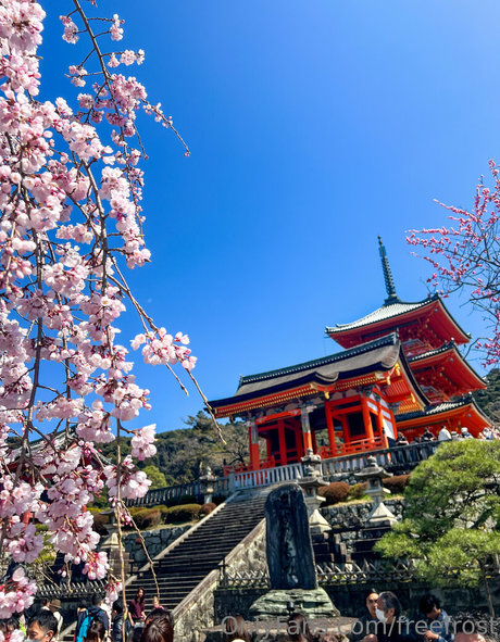 freefrost model nudes img