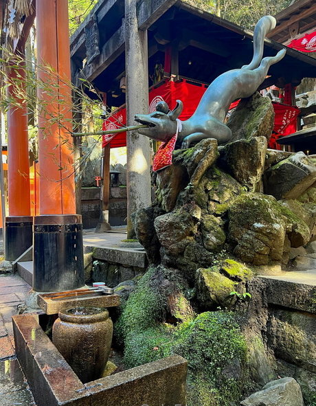 anal gape onlyfans sex picture