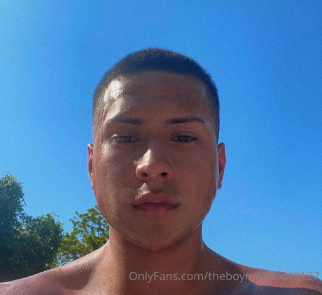 officailarq star gallery