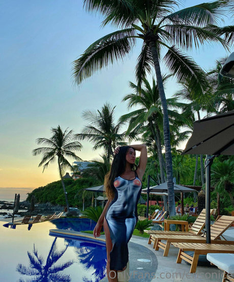 erisonice art pornstar pic